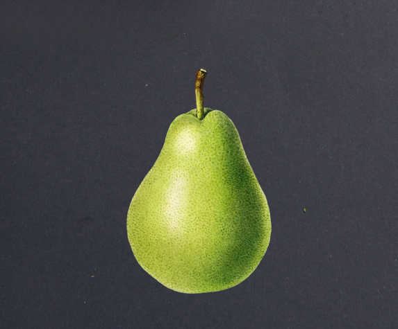 category