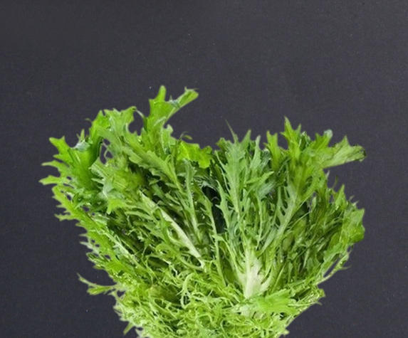 category